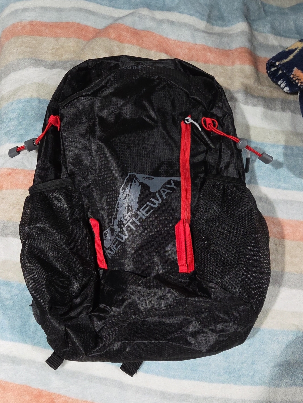 Black and Red Men's Backpack